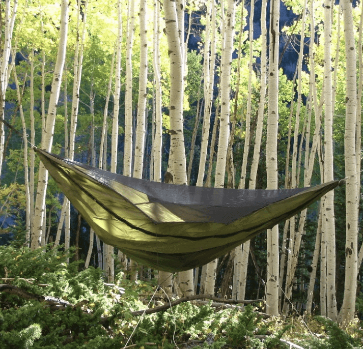 https://www.myopencountry.com/wp-content/uploads/2016/12/Warbonnet_Blackbird.png