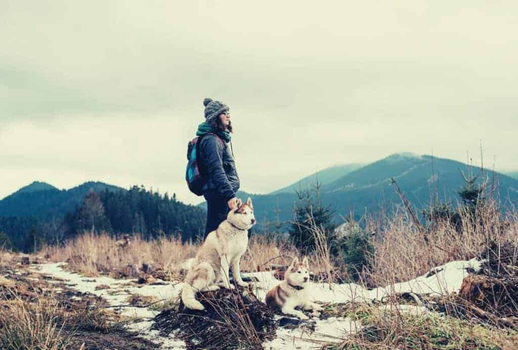 hiking with dogs featimage