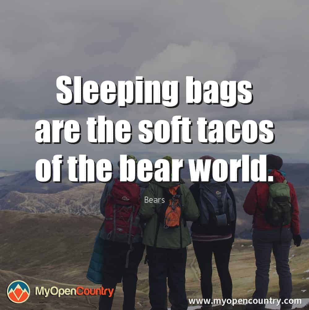 Hiking-Quotes-Bears