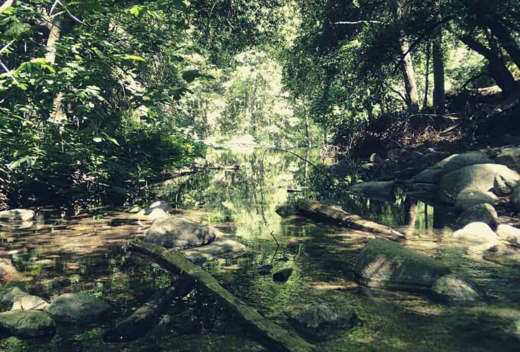 Hermit Falls Hiking Trail Guide featimage