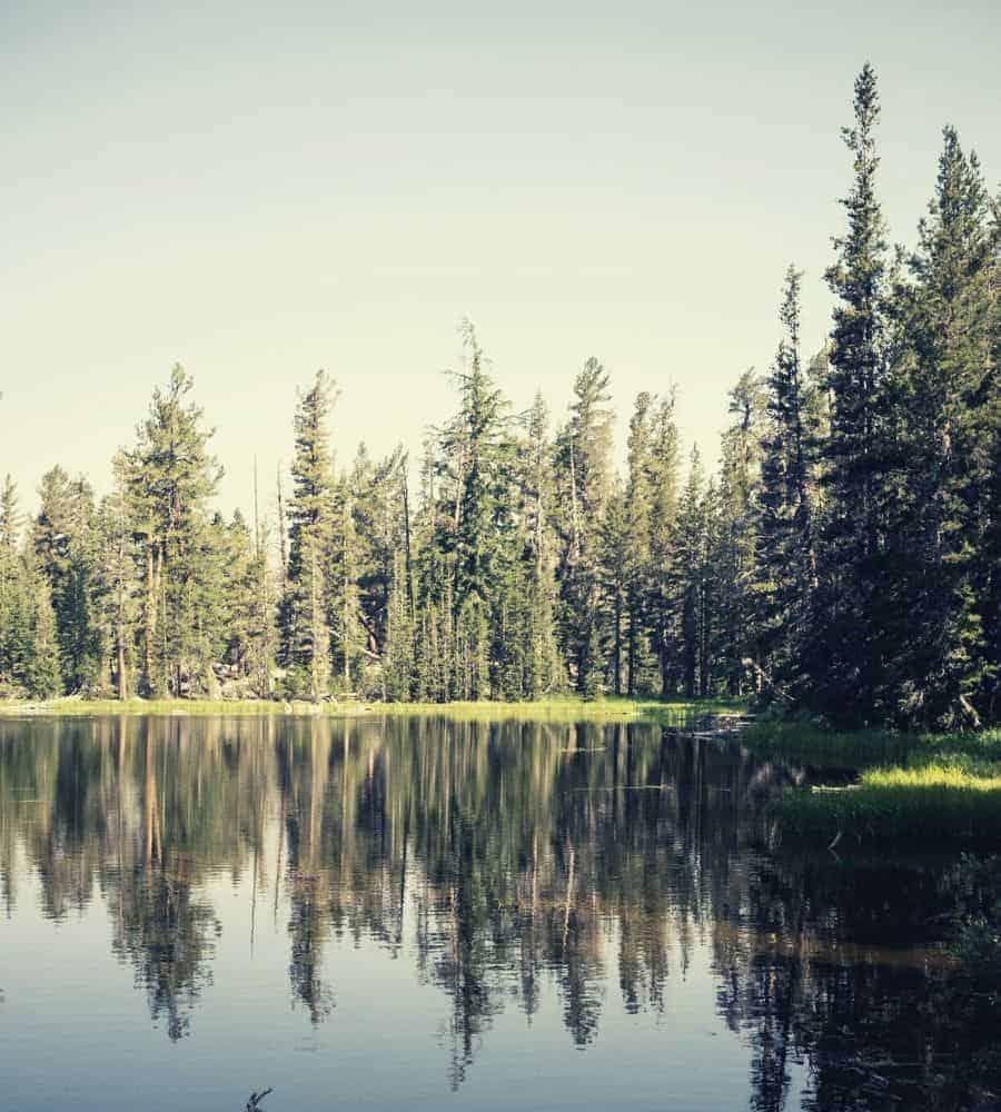 Tenaya Lake