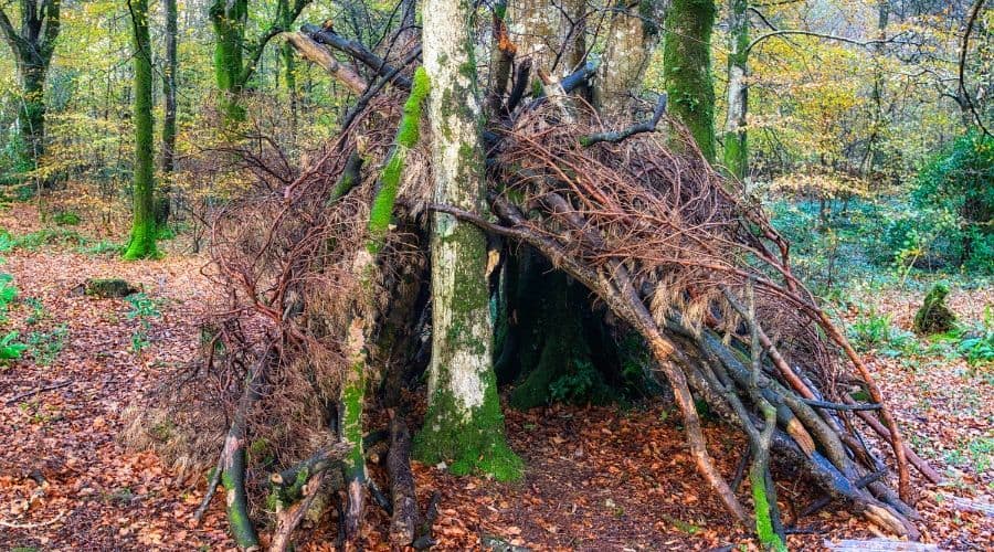 bivouac survival shelter