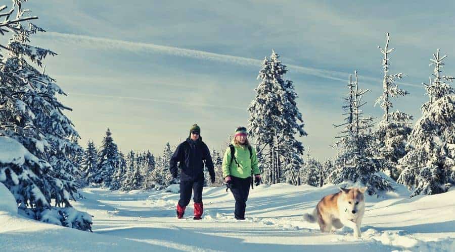 Couple hiking with dog in winter mountains