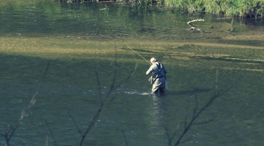 Manistee Fishing