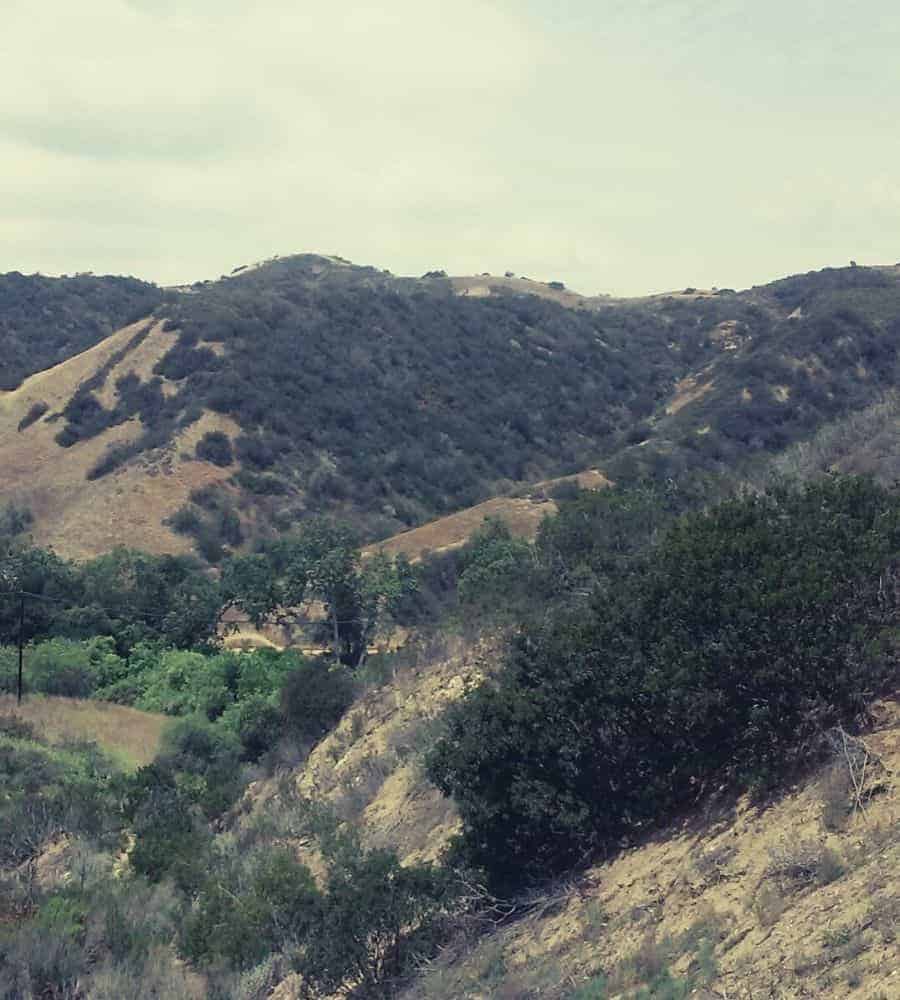 Turnbull_Canyon_2