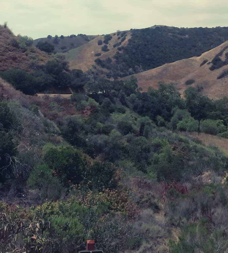 Turnbull_Canyon1