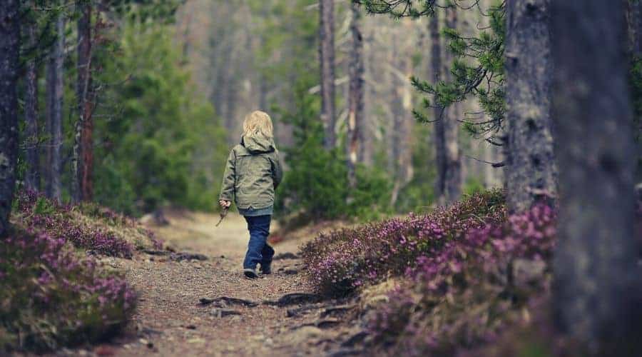 boy walking in forest with stick intext
