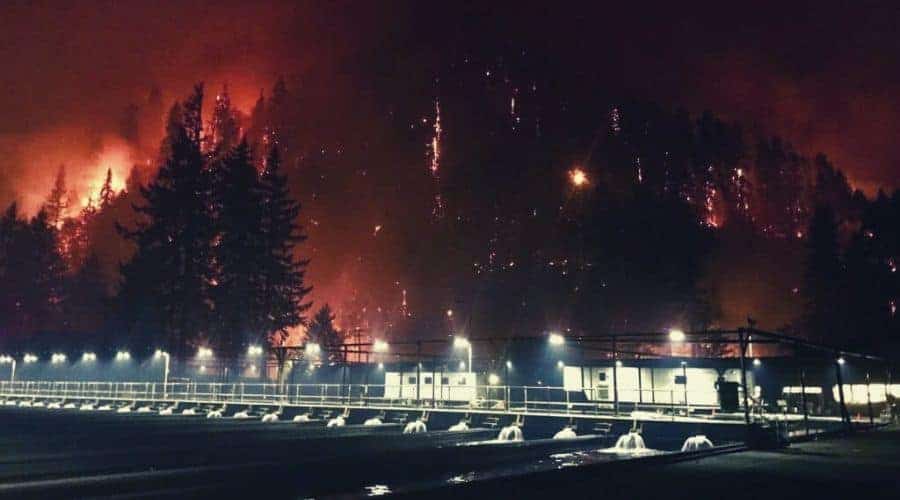 Eagle Creek Forest Fire, 2017 intext