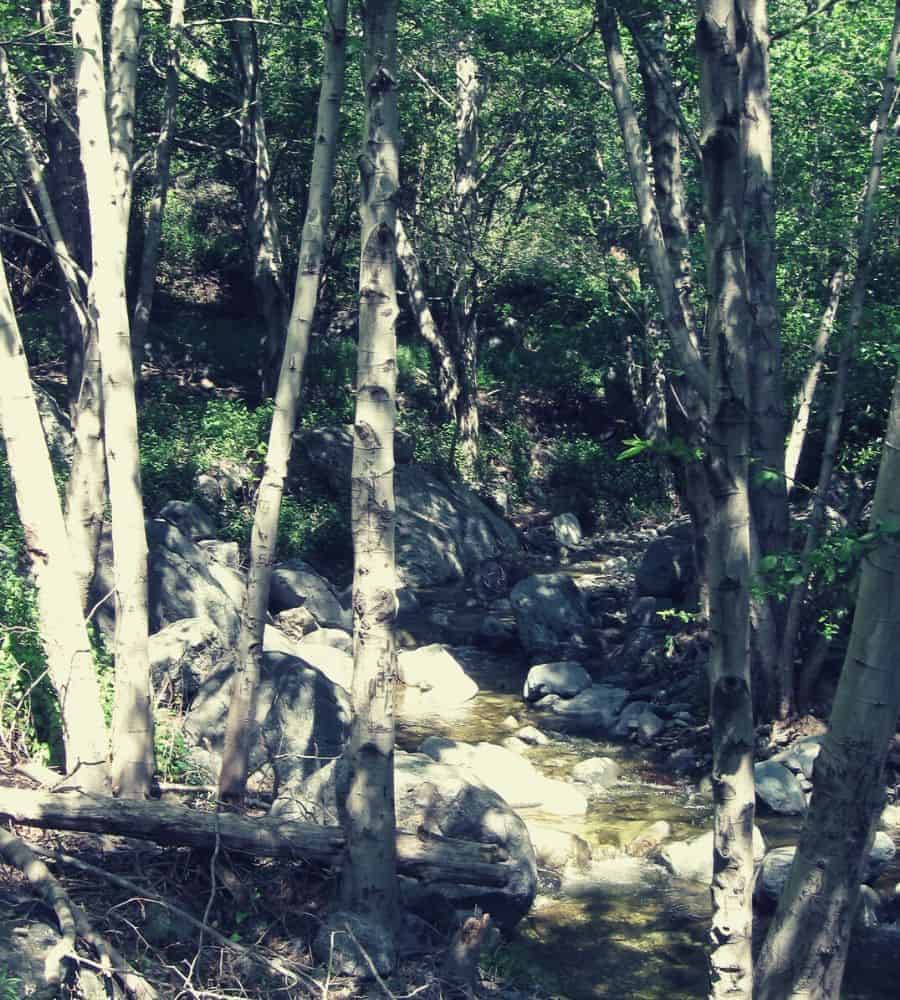 Fish Canyon Falls 1 Vertintext