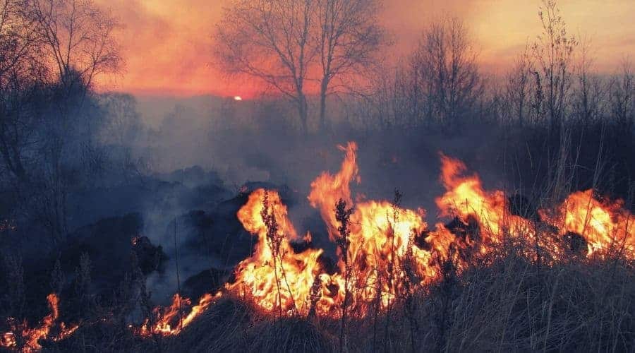 Forest fire raging out of control