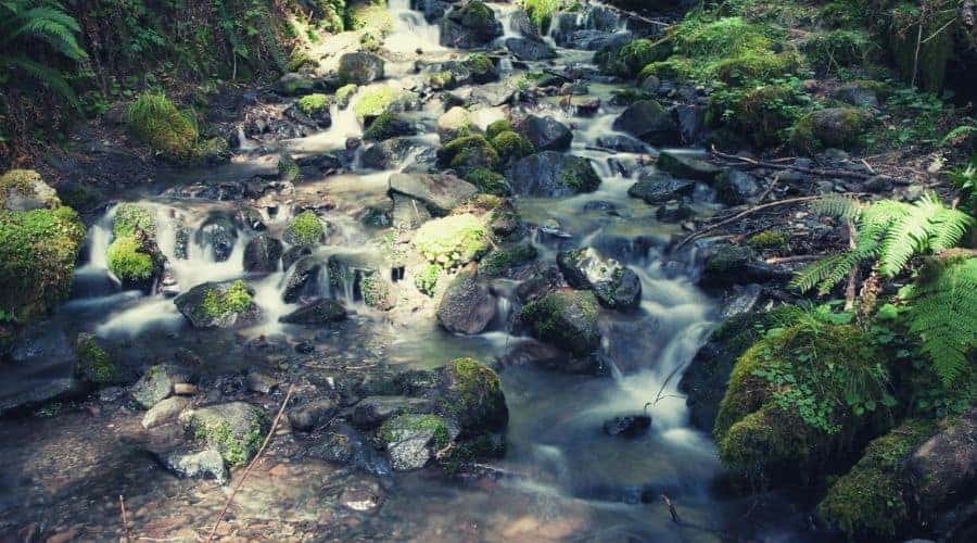 Waterfall Along Hoh River Trail