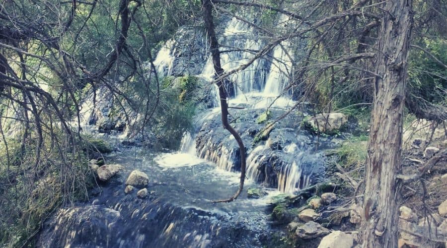 Goldbug Hot Springs 2