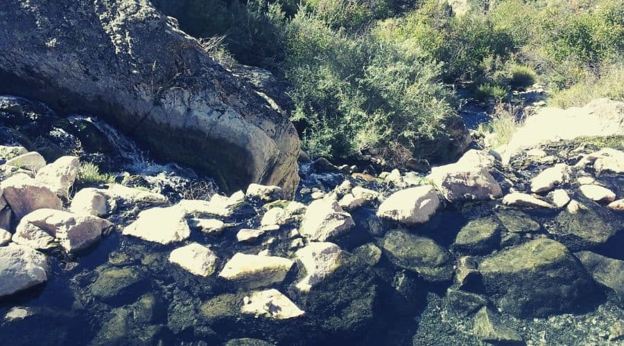 Goldbug Hot Springs 4