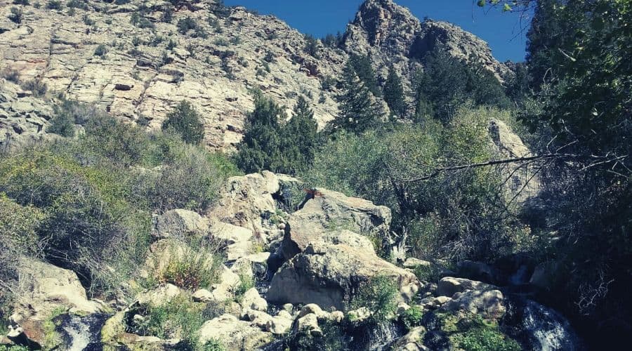 Goldbug Hot Springs 3