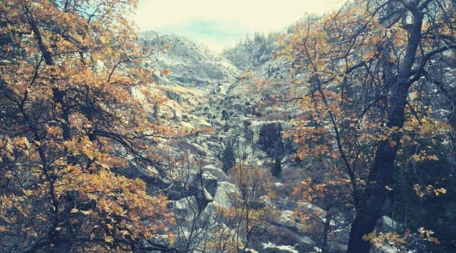 Tokopah falls 1 intext