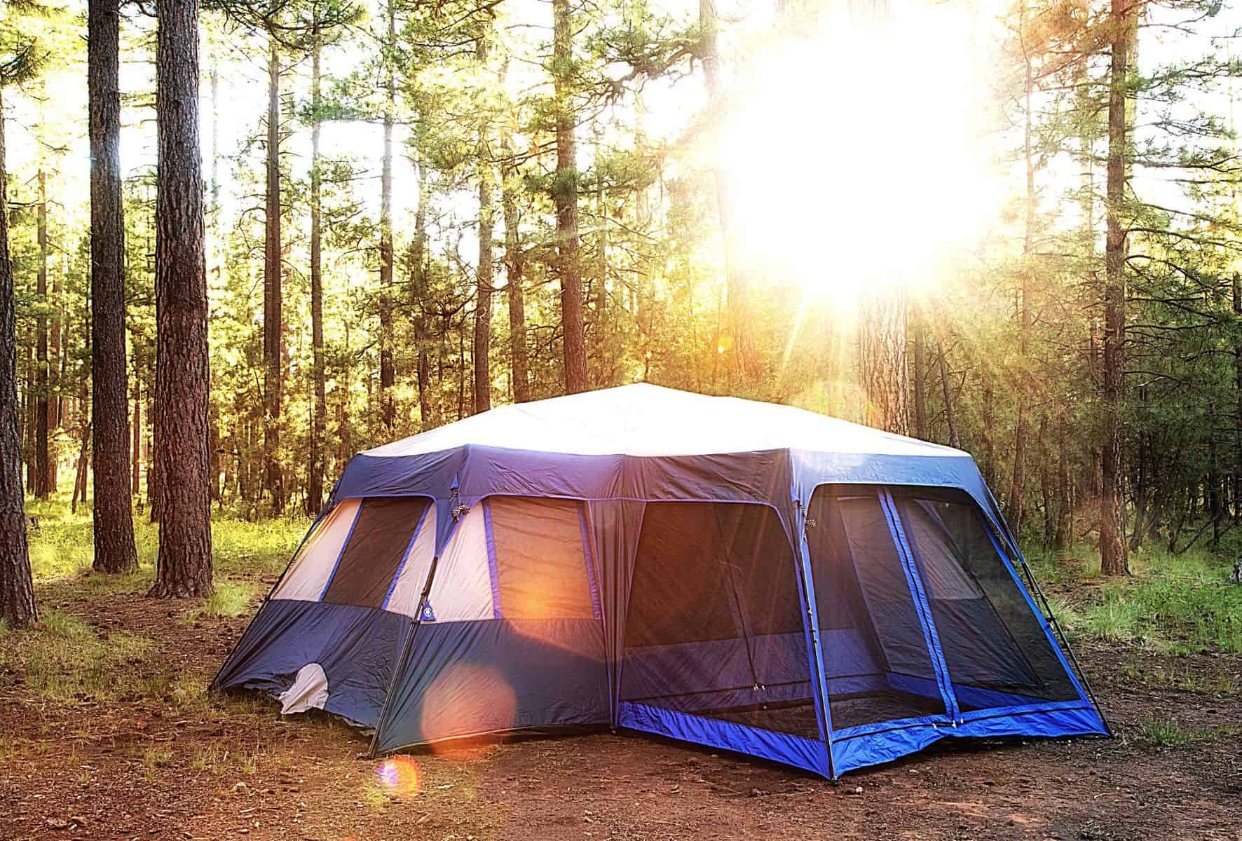 best 12 person tent