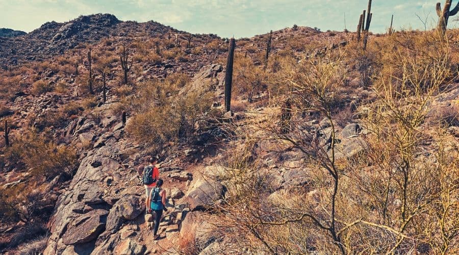 2 hikers on the holbert trail intext