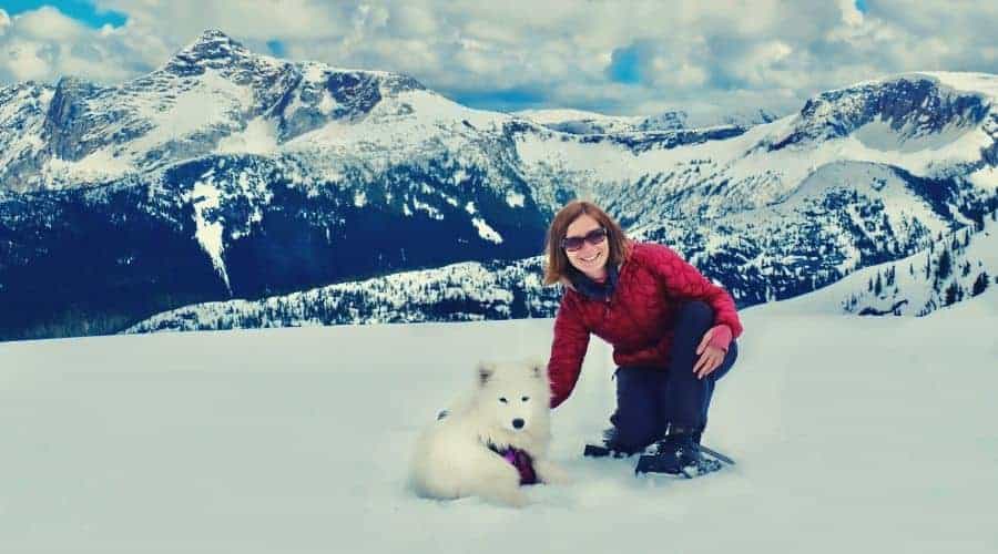 female hiker with samoyed puppy on snowy mountainside intext