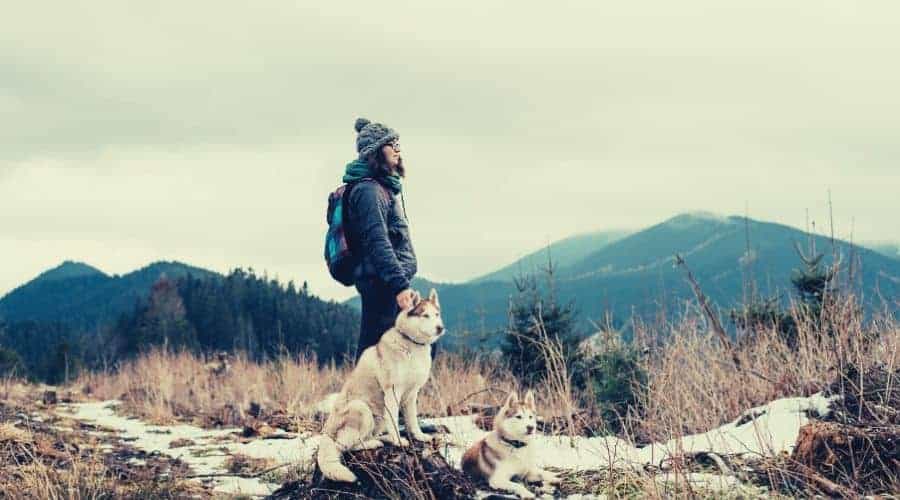 woman hiker standing with her two huskies intext