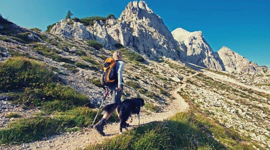 woman hiker walking mountain trail with dog intext