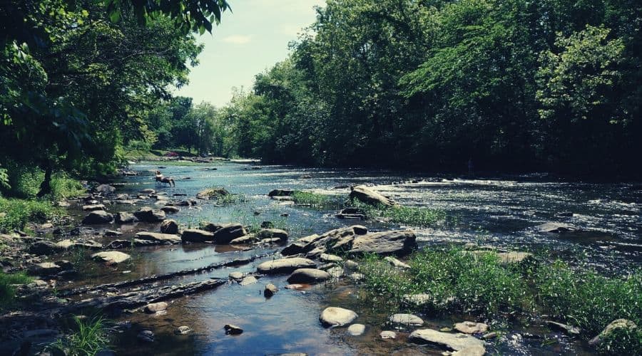 New River Trail State Park