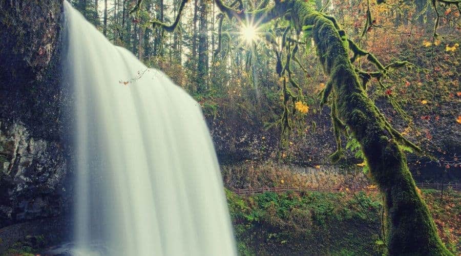 Silver Falls State Park