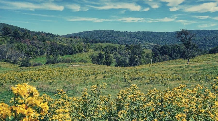 Sky Meadows State Park