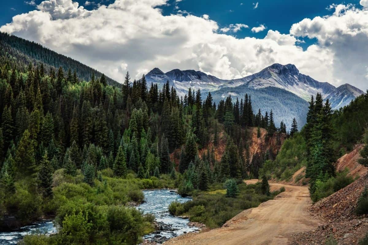 View acroos a forest and lake with the Rocky Mountains behind it