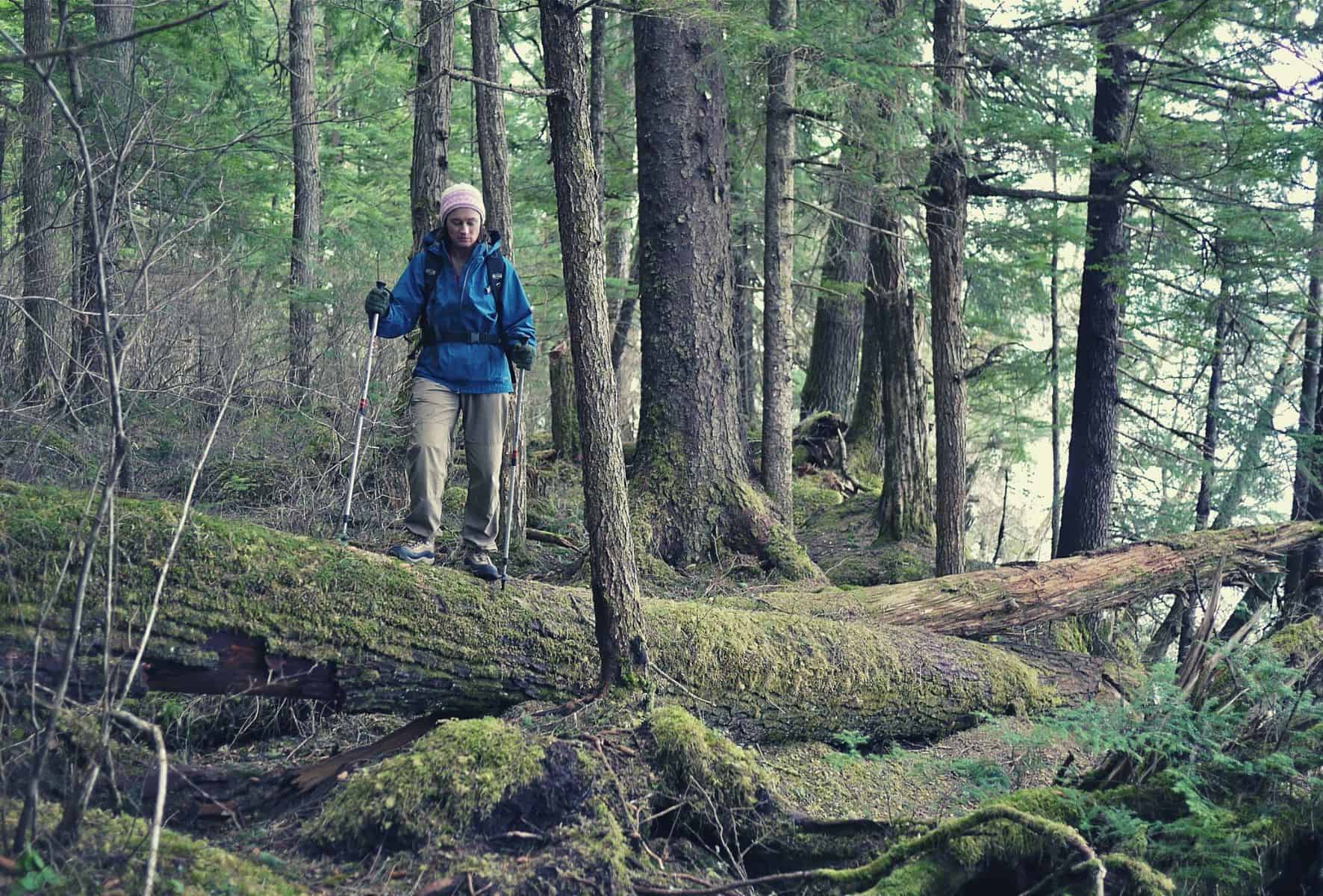 Bushwhacking 101 tips featimage