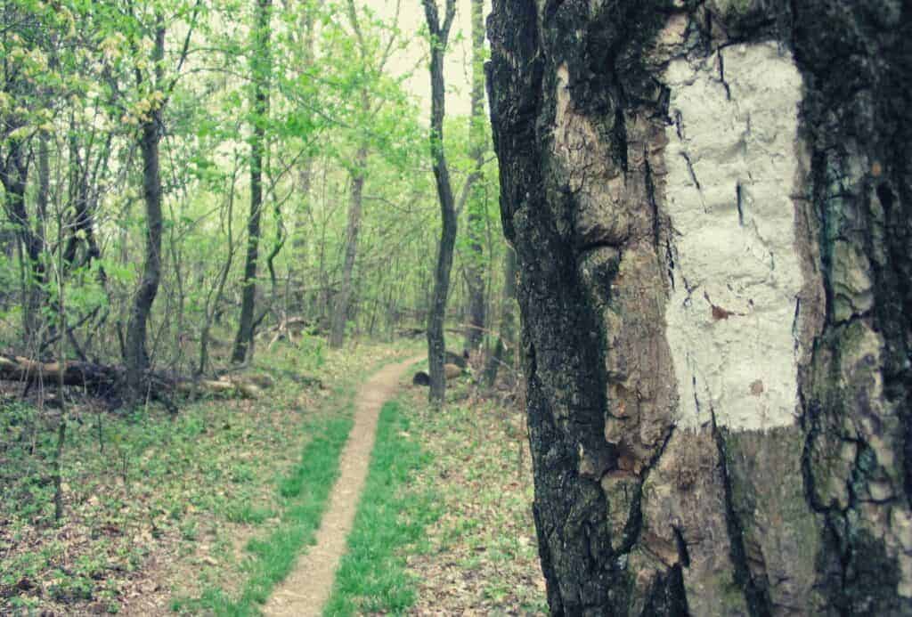 Trail Blaze & Trail Markers featimage