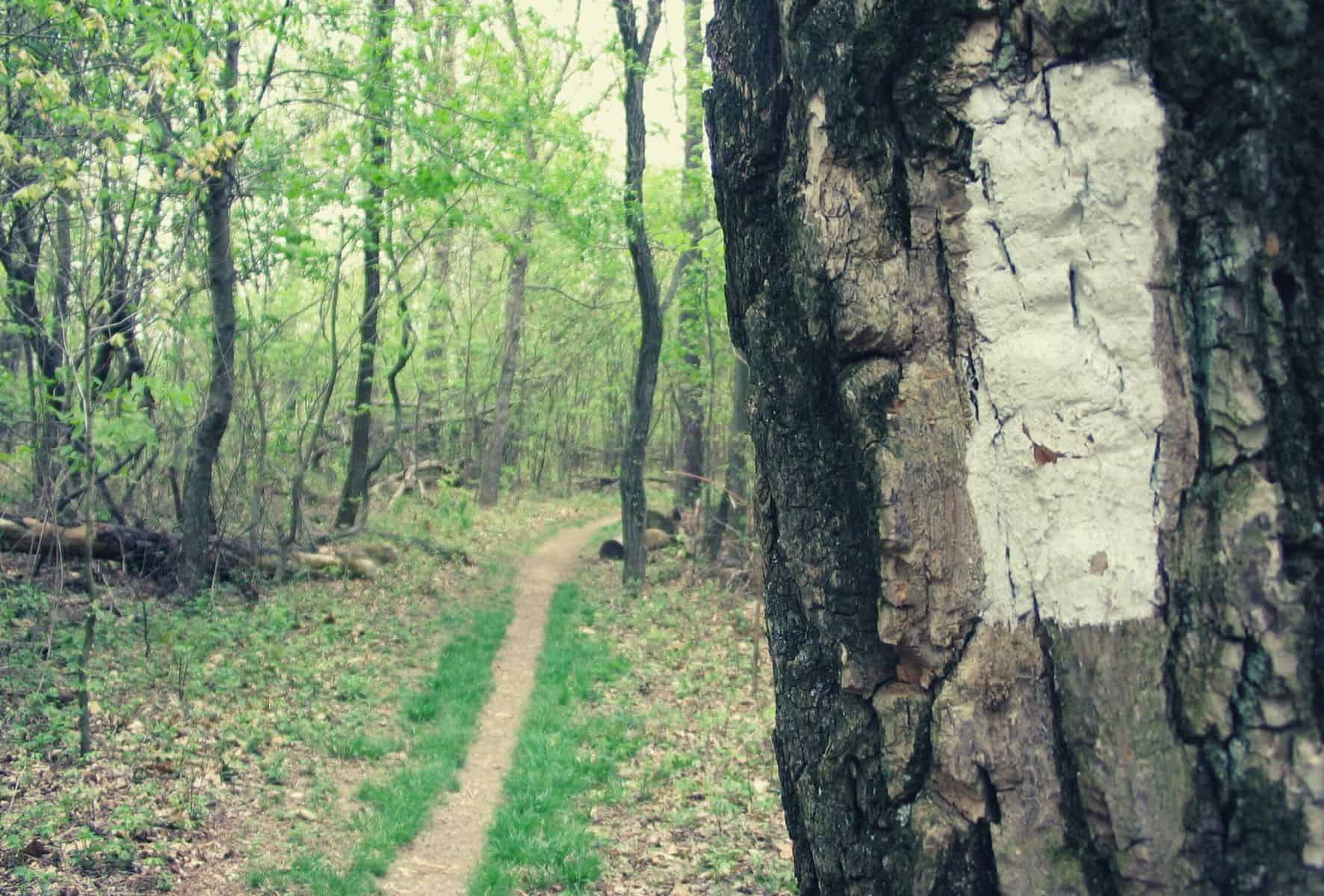 Trail Blaze & Trail Markers featimage