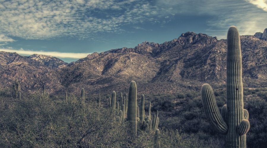 Catalina State Park, Arizona