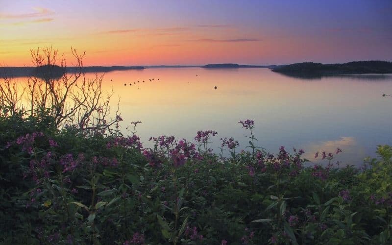 Cobscook Bay, Maine