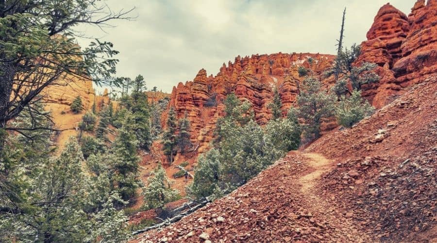 Hiking trail Dixie national forest Utah