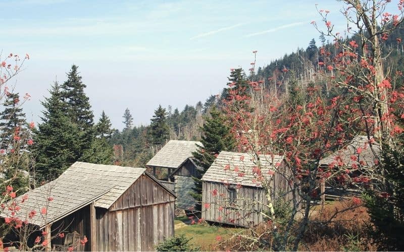 LeConte Lodge, Tennessee