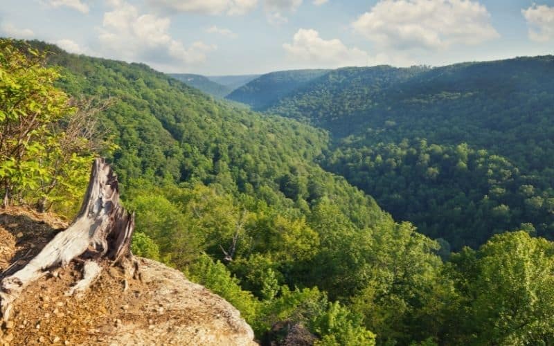 Savage Gulf State Natural Area, Tennessee