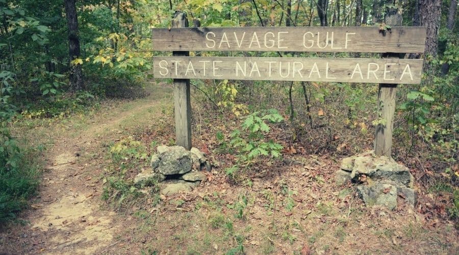 Savage Gulf State natural area, Tennessee