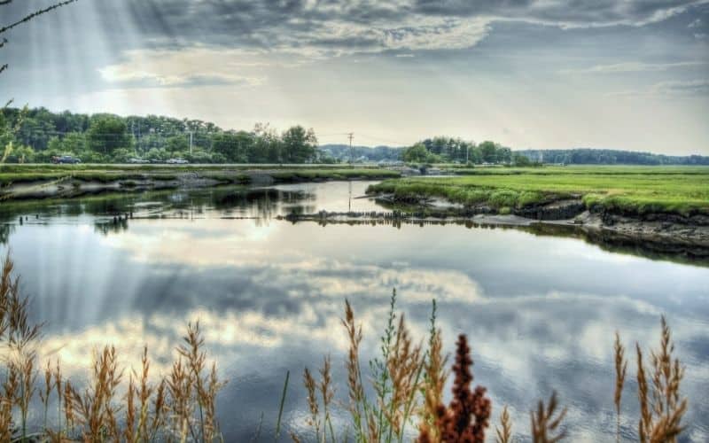 Scarborough Marsh, Maine