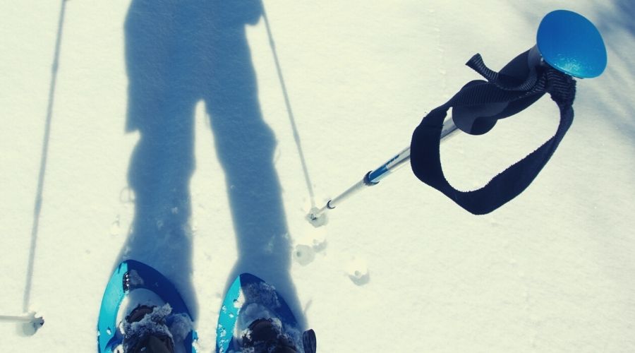 hiker snowshoeing with hiking pole