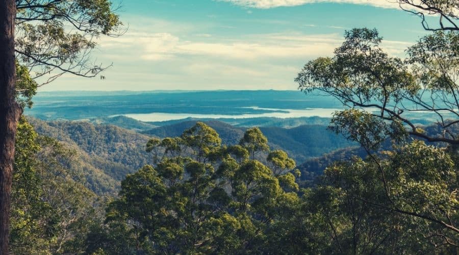 D’Aguilar National Park
