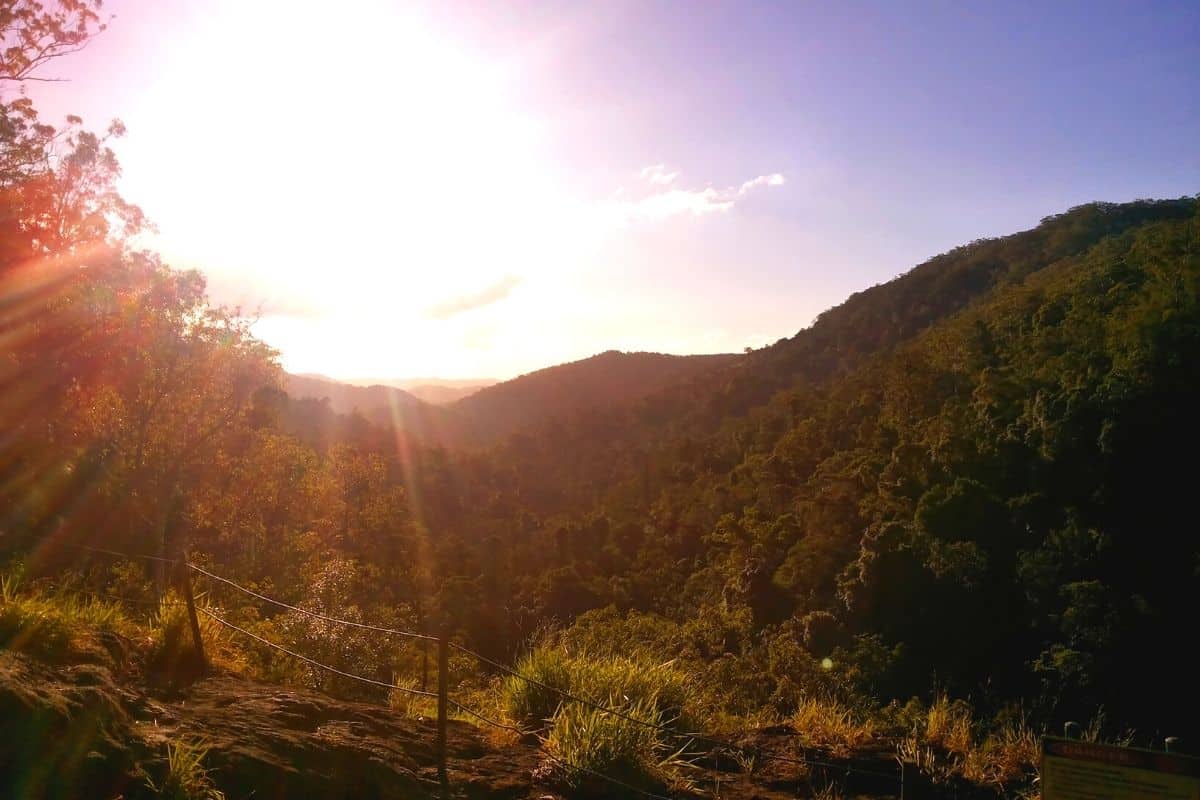 best hikes near brisbane - feat img