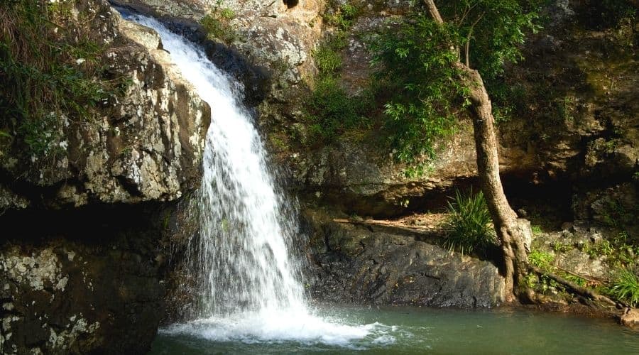 waterfalls in Kondilla NP