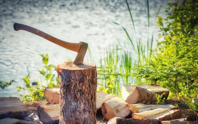 Wood chopping axe stuck in tree stump