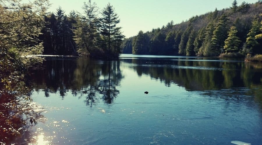 Breakneck Pond Loop Trail, Bigelow Hollow State Park