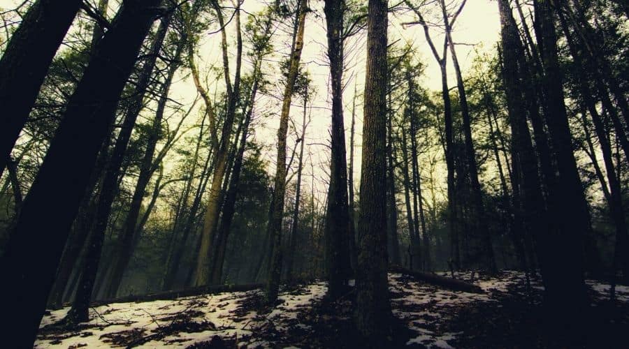 Zoar Trail, Paugussett State Forest