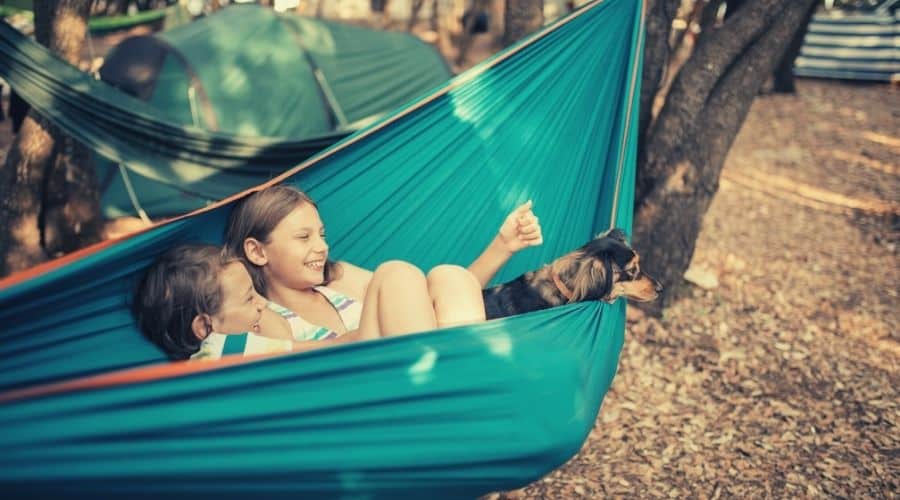 dogs and kids in a hammock