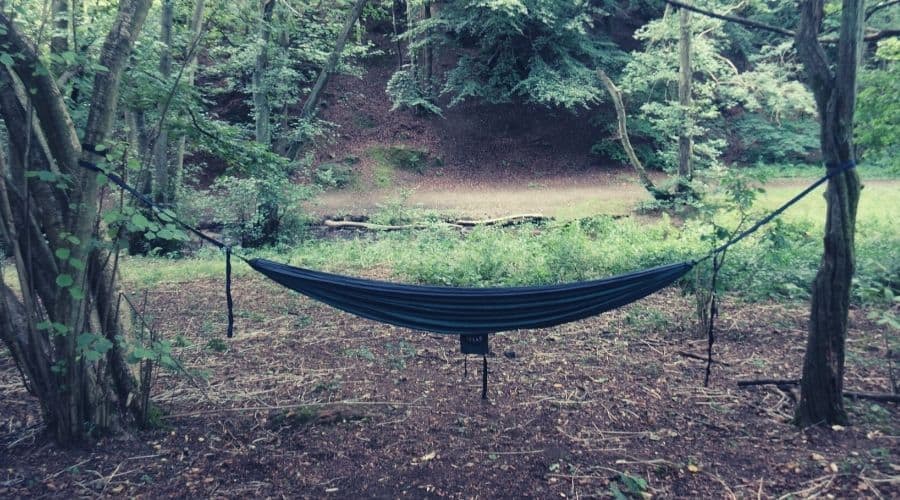 hammock hanging between two trees in forest