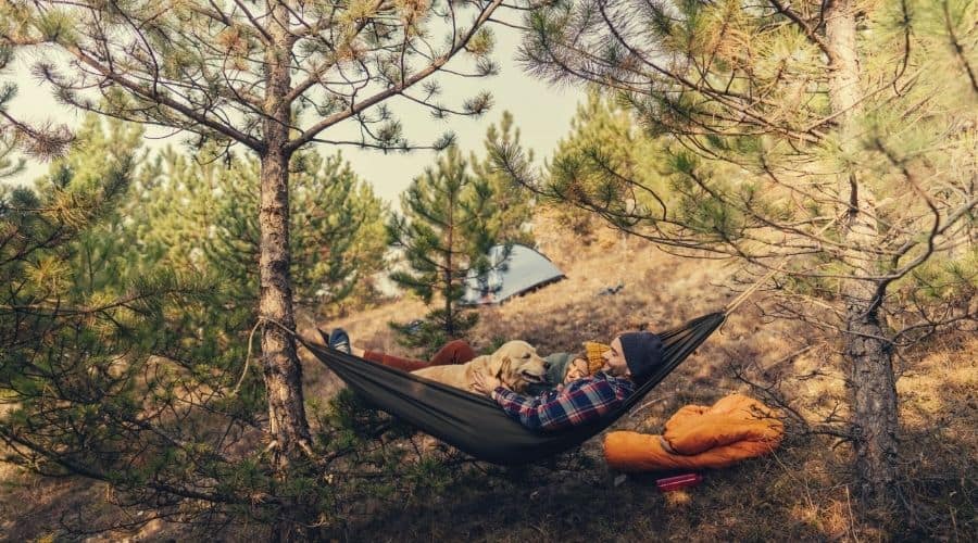 hammock camping with dog lab