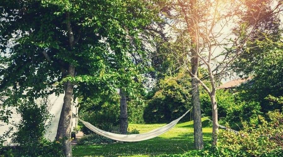 hammock hanging in back garden