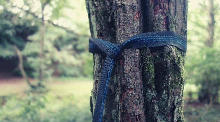 hammock straps tied around tree trunk in forest